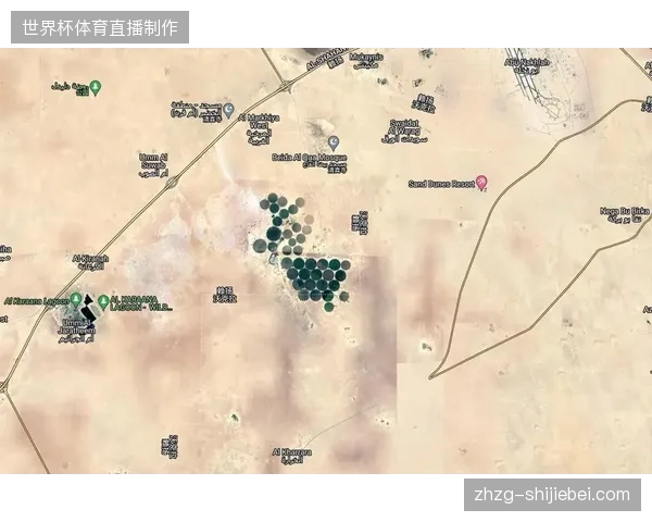 卡塔尔世界杯视觉资产通过隐形水印实现全球版权流转追踪